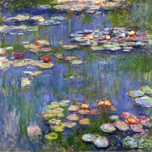water-lilies