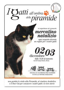 gatti a Piramide